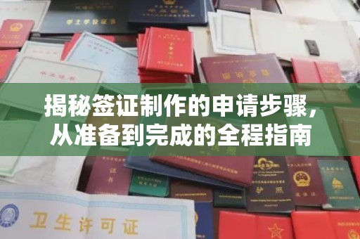 抚松揭秘签证制作的申请步骤，从准备到完成的全程指南